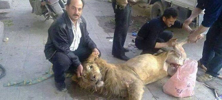 Republiken | Information om slakten av "lejonet" i Ghouta!